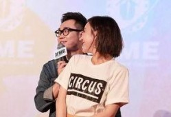 大鹏养家爆料新闻视频,独家视频内容深度解析