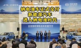 新能源电池爆料新闻报道,最新爆料揭示行业变革趋势